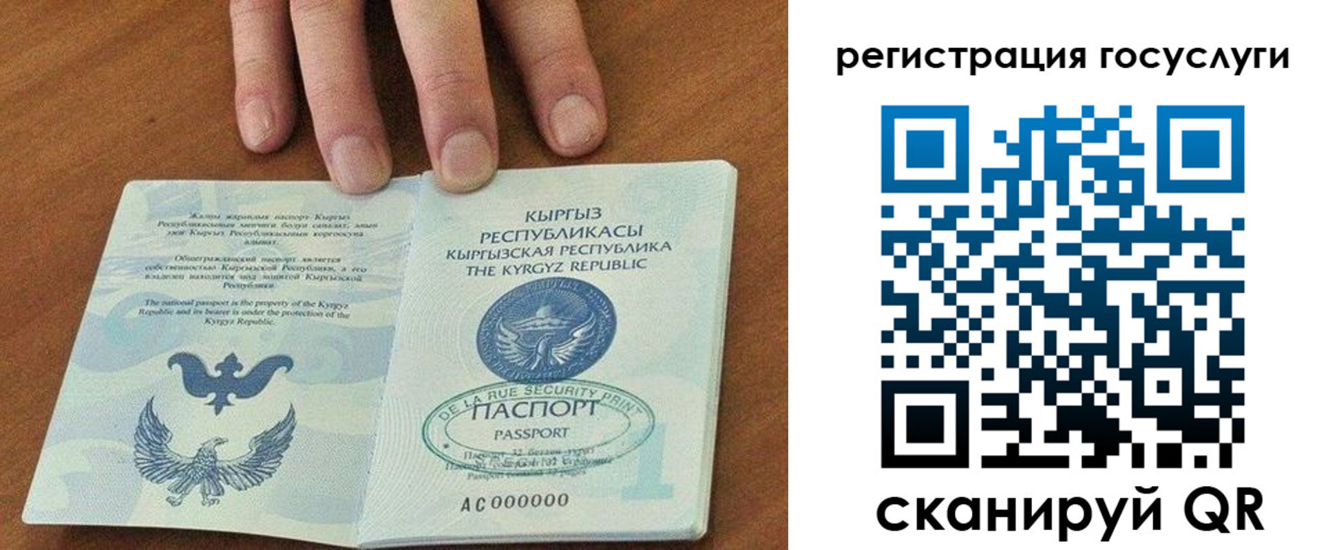 прописка ребенка в Козельске